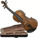 Violino Dominante 4/4 Especial Completo com Estojo