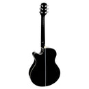 Violão Aço Eletrico Giannini Performance GSF-1D CEQ Preto