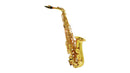 Sax Alto Shelter Sft6430l Laqueado Dourado Com Case