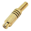 Conector Plug RCA Femea MXT Dourado