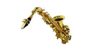 Sax Alto Shelter Sft6430l Laqueado Dourado Com Case