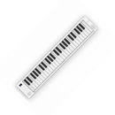 Piano Digital Carry On 49 Dobrável De 49 Teclas